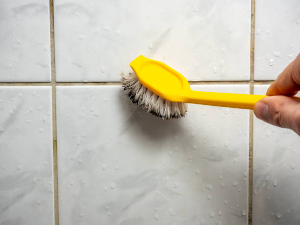 Best Residential Mold Removal  in Maysville, NC